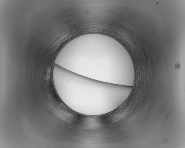 X0000089940652200707201904