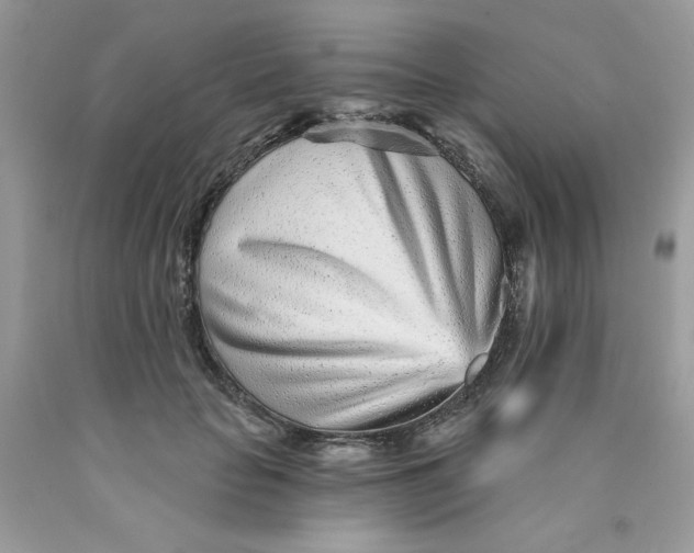 X0000089940653200707201904