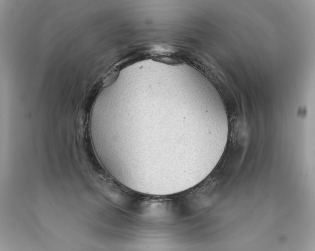 X0000089940655200707201904