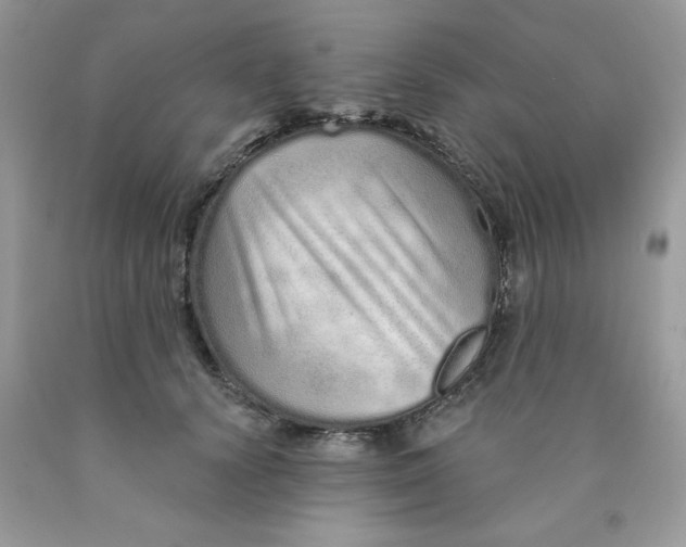 X0000089940656200707201904