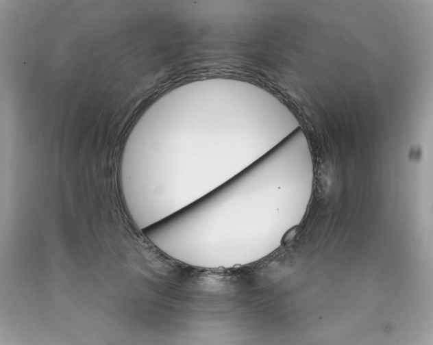 X0000089940657200707201904