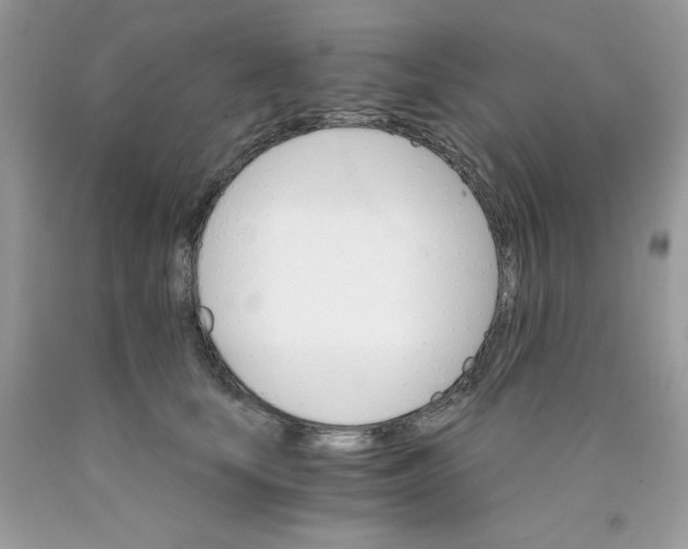 X0000089940659200707201904