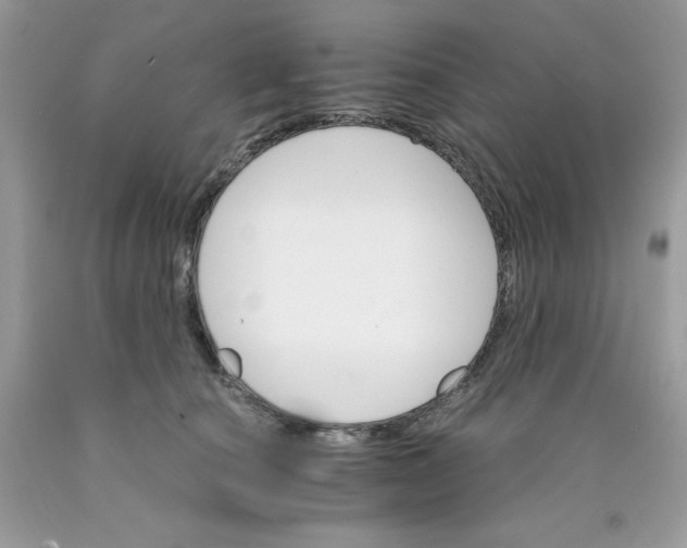 X0000089940660200707201904