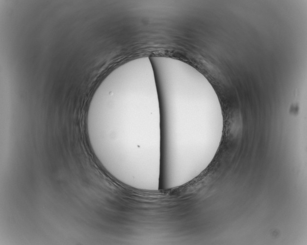 X0000089940661200707201904