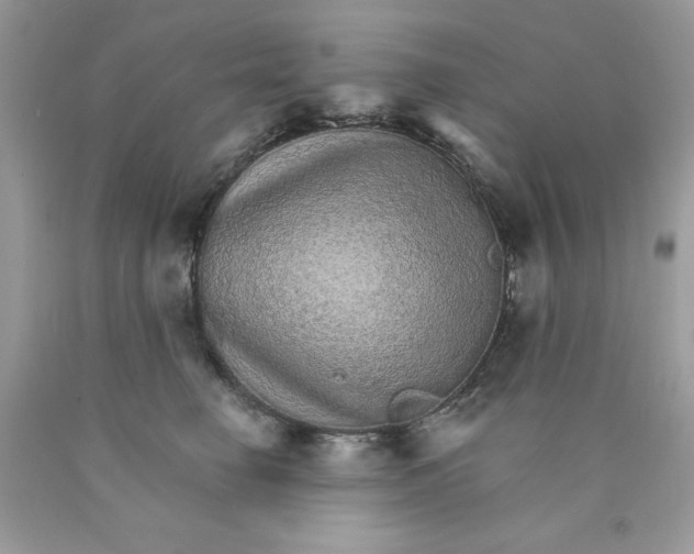 X0000089940662200707201904