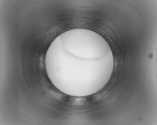 X0000089940663200707201904