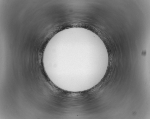 X0000089940664200707201904