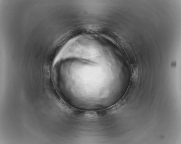 X0000089940666200707201904