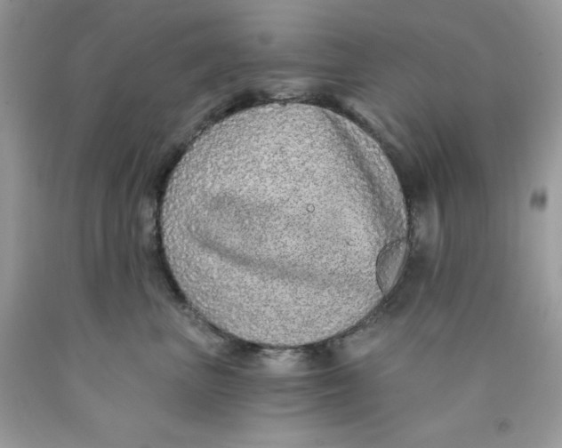 X0000089940667200707201904