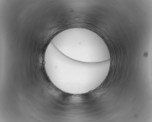 X0000089940668200707201904