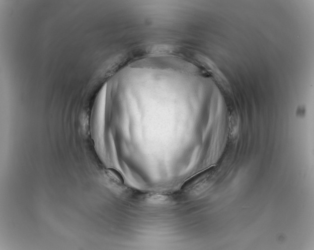 X0000089940669200707201904