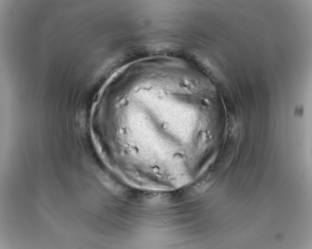 X0000089940670200707201904