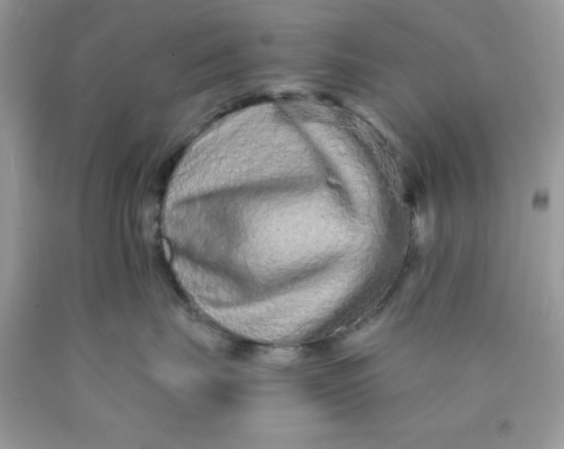 X0000089940671200707201904