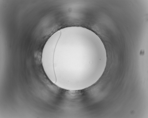 X0000089940672200707201904