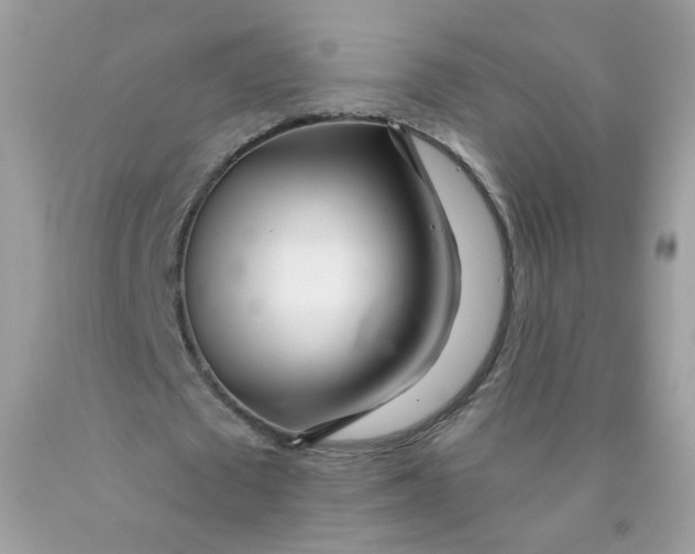 X0000089940673200707201904