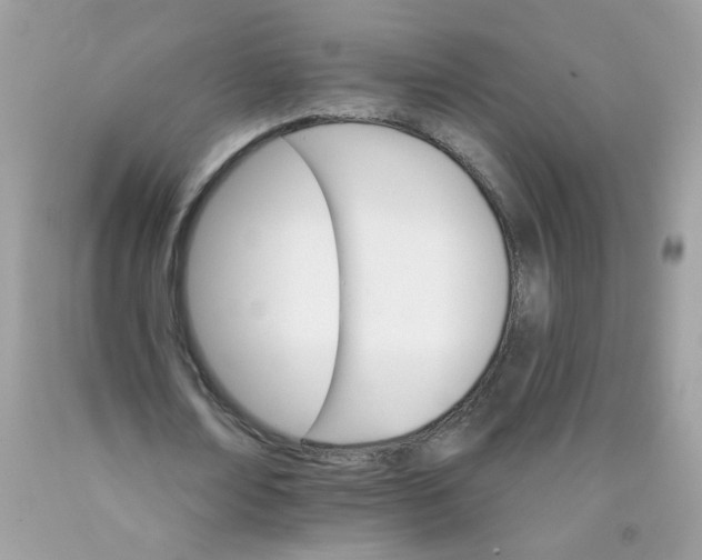 X0000089940674200707201904