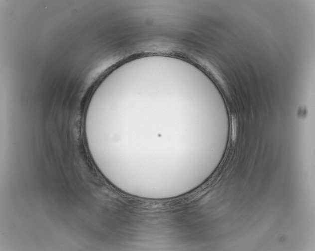 X0000089940675200707201904