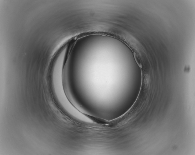 X0000089940676200707201904