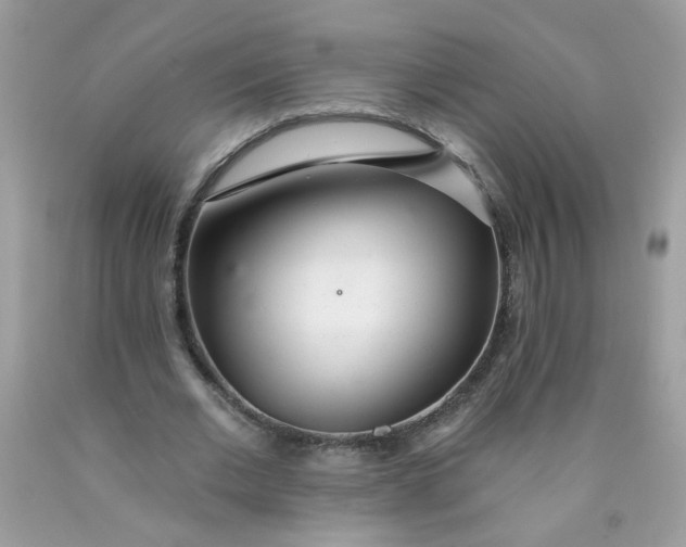 X0000089940677200707201904