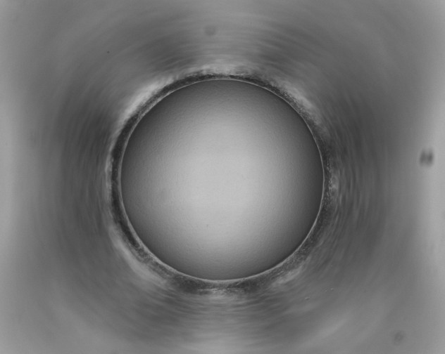 X0000089940678200707201904