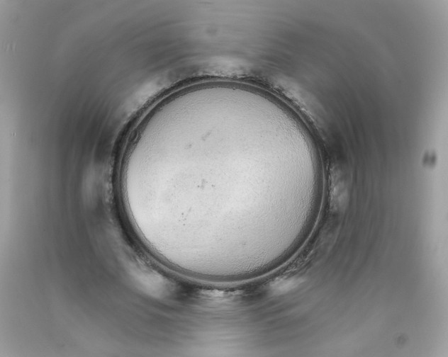 X0000089940679200707201904