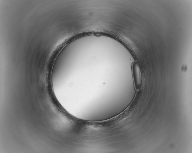 X0000089940680200707201904