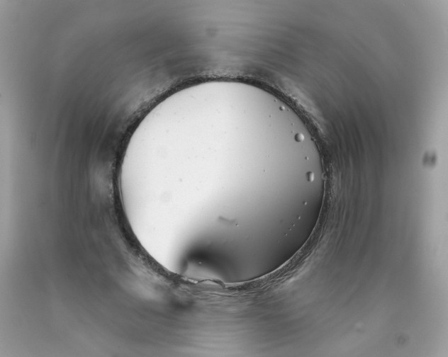 X0000089940681200707201904