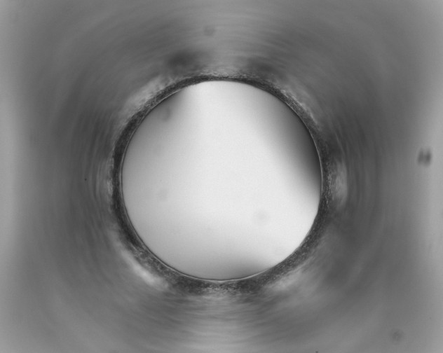 X0000089940682200707201904