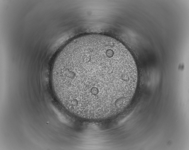 X0000089940683200707201904