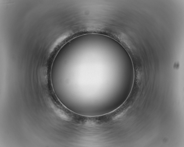 X0000089940684200707201903