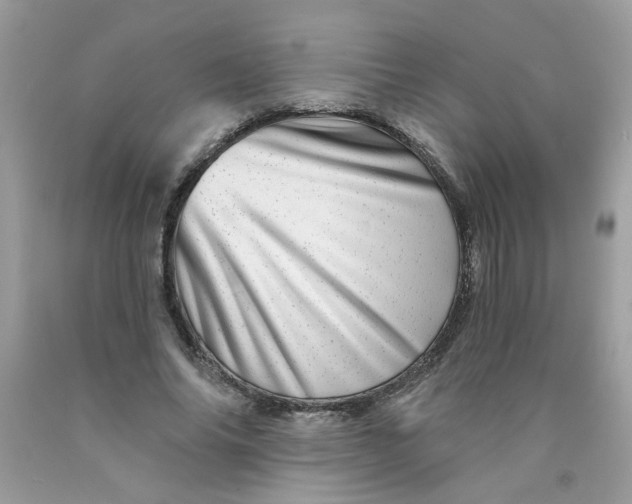 X0000089940686200707201903