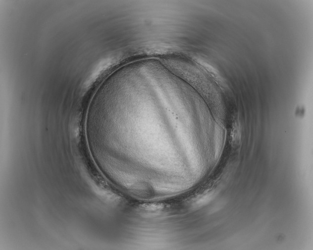 X0000089940687200707201903