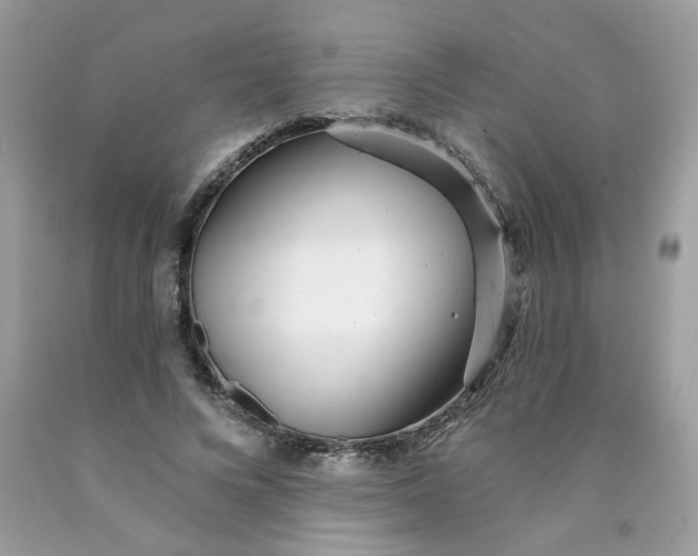 X0000089940688200707201903