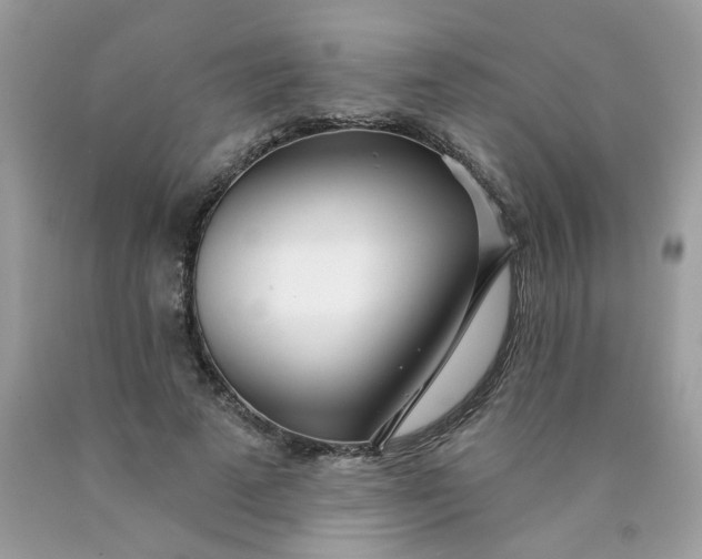 X0000089940689200707201903