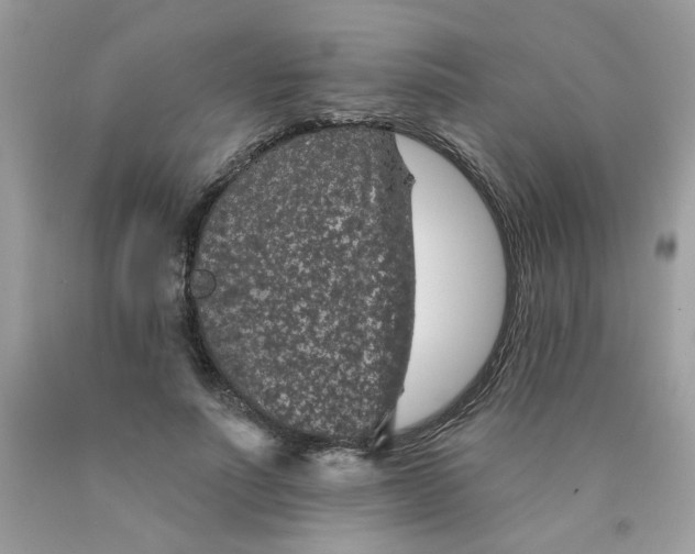 X0000089940691200707201903