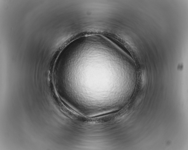 X0000089940692200707201903