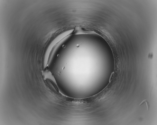 X0000089940693200707201903