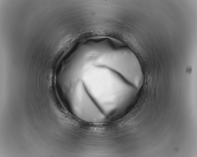 X0000089940694200707201903