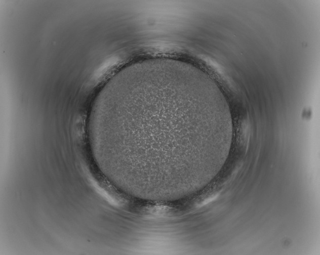 X0000089940695200707201903