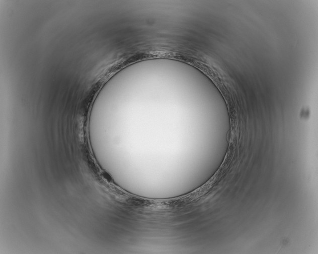 X0000089940696200707201903