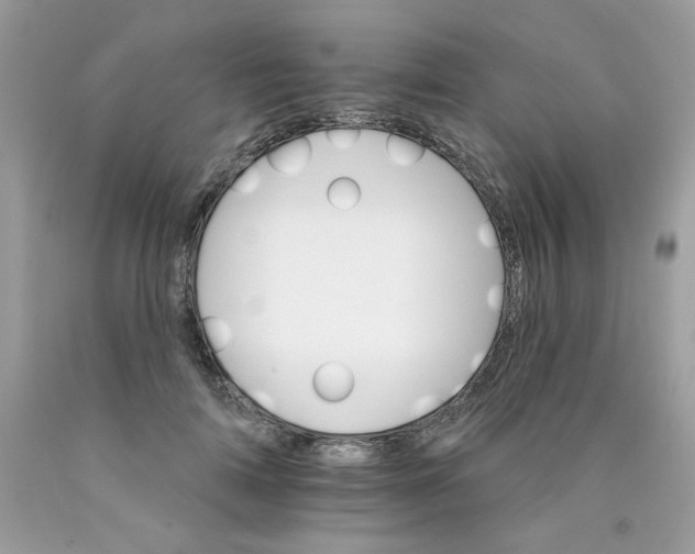 X0000089940698200707201903