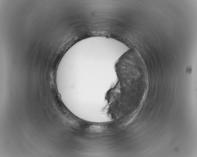 X0000089940699200707201903