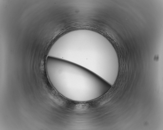 X0000089940700200707201903