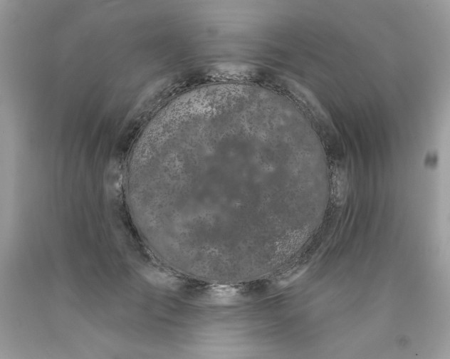 X0000089940701200707201903