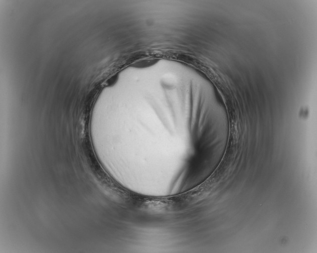 X0000089940703200707201903