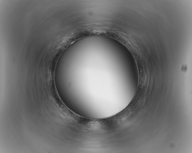 X0000089940704200707201903