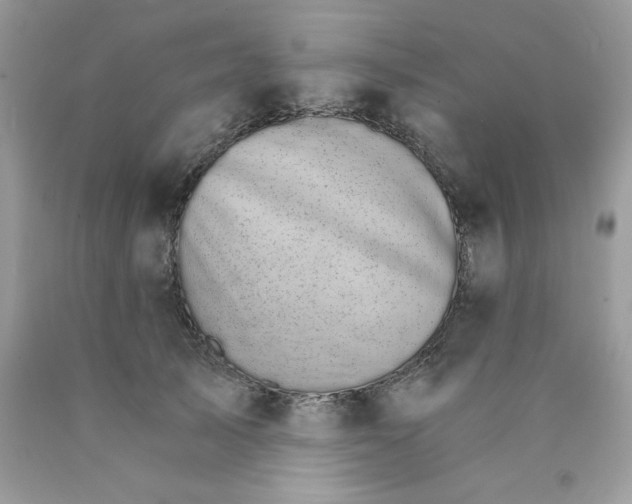 X0000089940705200707201903