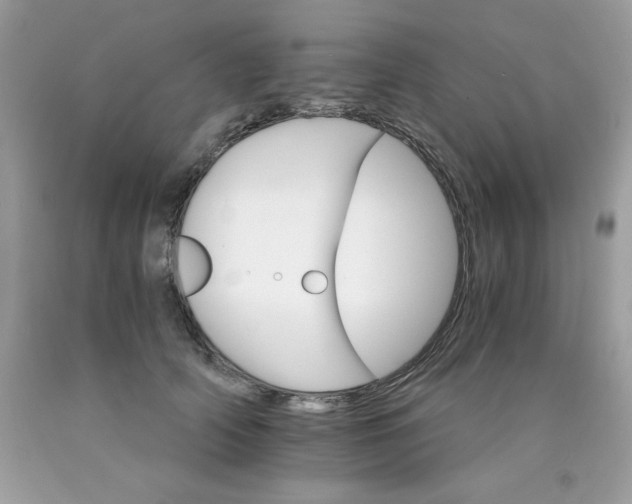 X0000089940706200707201903