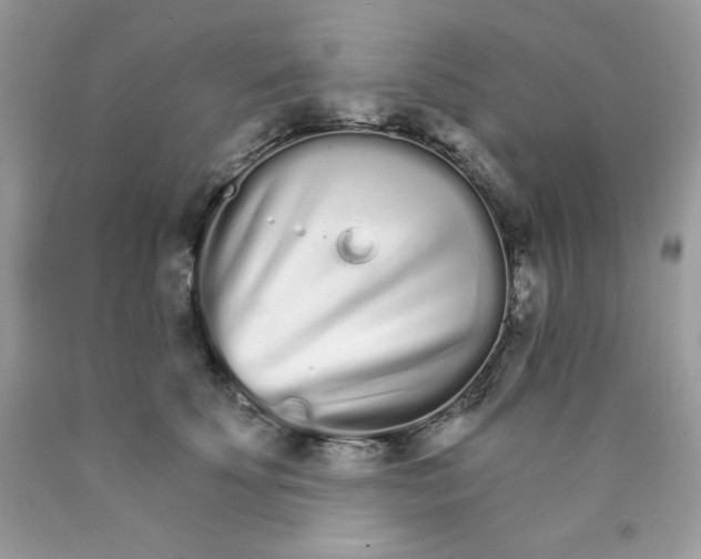 X0000089940707200707201903