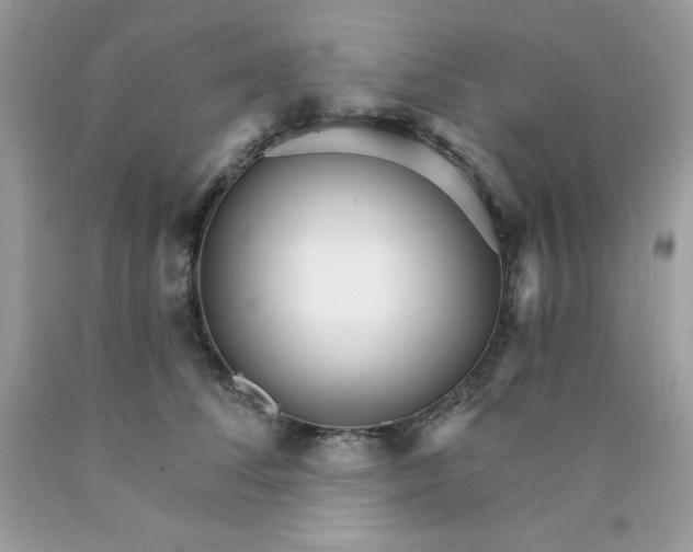 X0000089940708200707201903